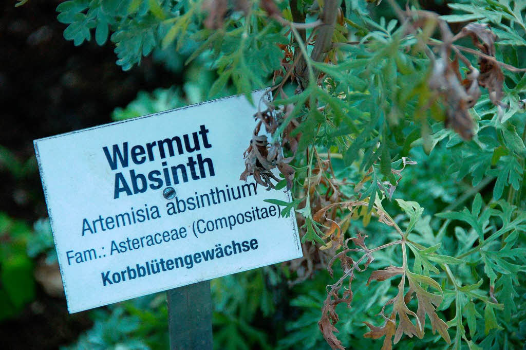 Viel Zuspruch fanden die 1. Badischen Krutertage in der neu renovierten Klosterscheune in Oberried.