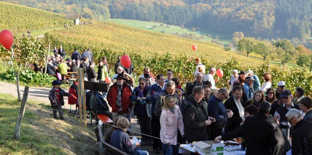 Auf groes Interesse stie in Feuerbach am Sonntag die Erffnung des Wiiwegli.   | Foto: Winer