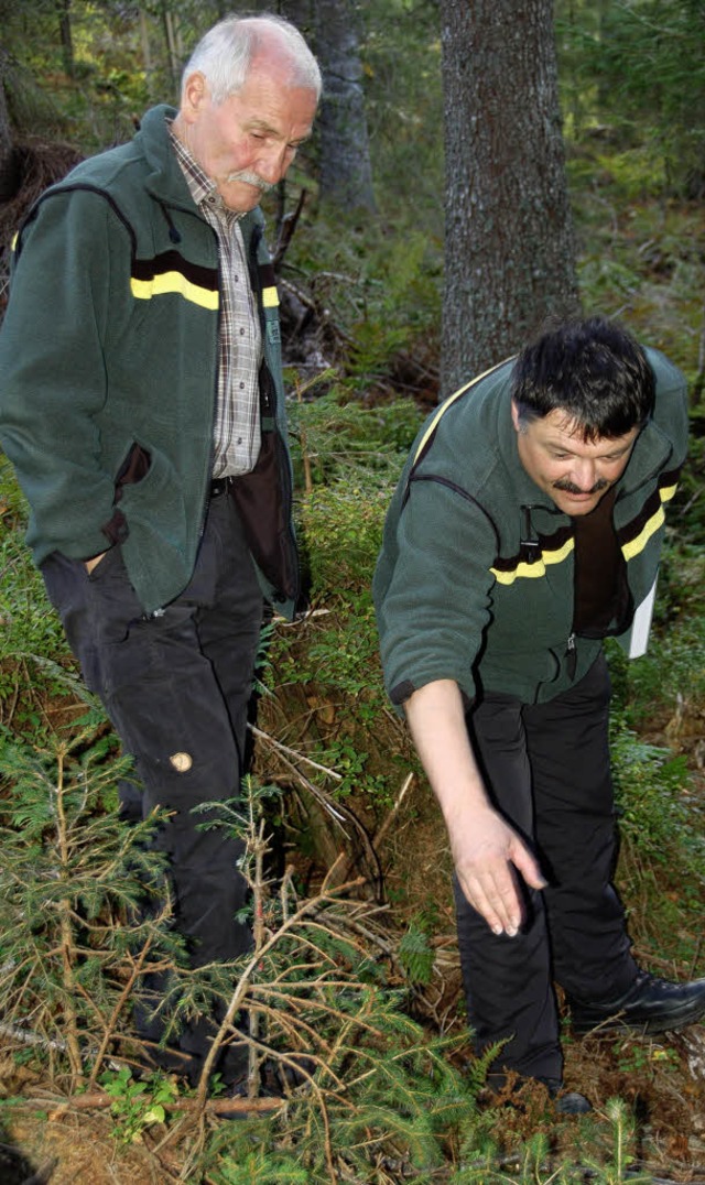 Letzter Waldbegang mit Revierleiter Faller  | Foto: ralf Morys