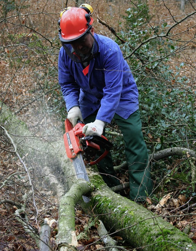 Die Arbeit im Kanderner Wald zahlt  sich   fr die Stadt aus.   | Foto: Raab