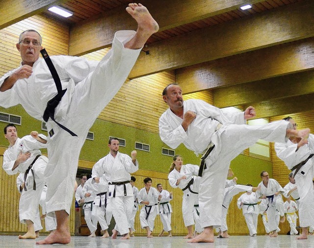 Vorwrts treten, rckwrts, seitwrts: Karate ist so elegant wie Ballett.  | Foto: Johannes Bachmann