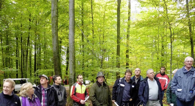 Mit Forstdirektor Jrgen Schmidt studi...d Zusammensetzung des Gemeindewalds.    | Foto: Karlernst Lauffer