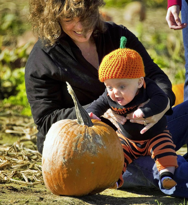 Krbisse werden alleine gro. Kinder (...die wird (auch fr das Elztal) teuer.   | Foto: afp