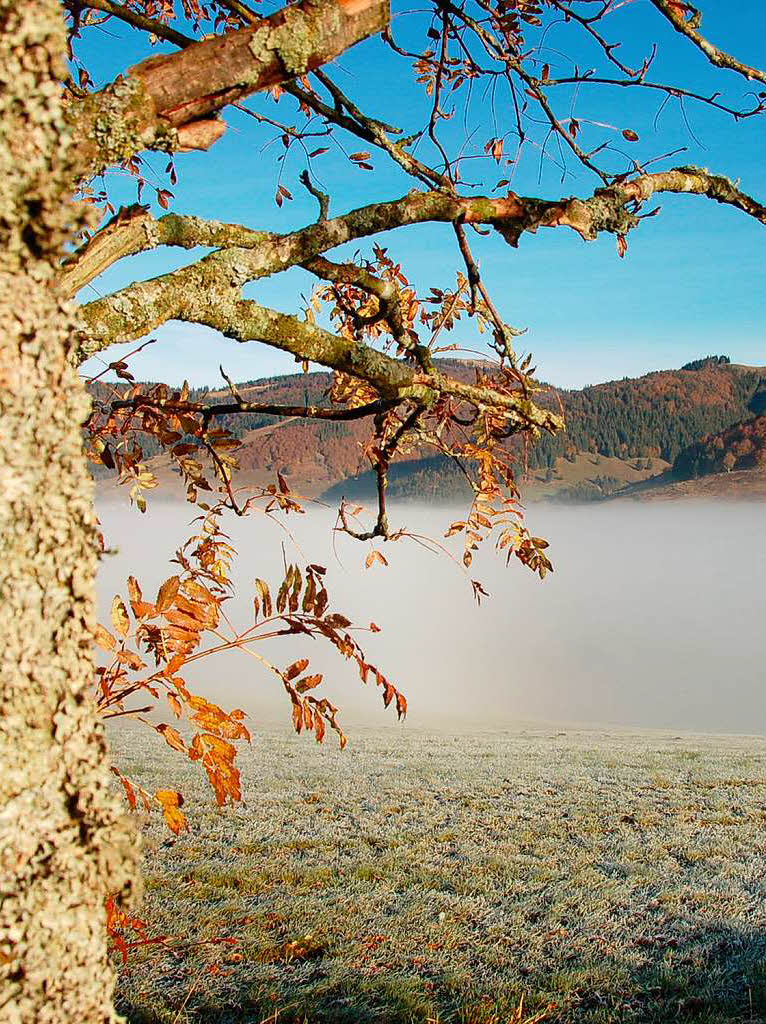 Die Nebelgrenze ist deutlich erkennbar oberhalb Innerlehens Die Nebelgrenze ist deutlich erkennbar oberhalb Innerlehens