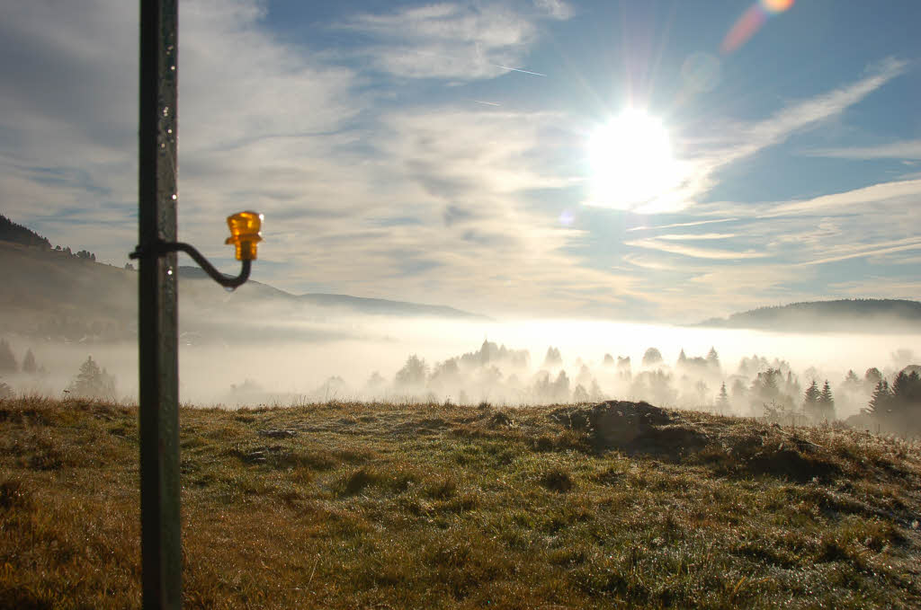 Herbstmorgen in Bernau Herbstmorgen in Bernau