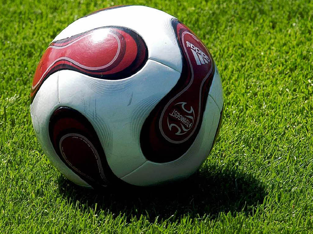 Stichwort Sport: Die 157 gemeldeten Freiburger Sportvereine haben 63.339 Mitglieder. 8244 davon spielen Fuball...
