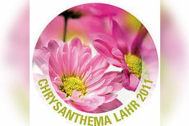 CHRYSANTHEMA