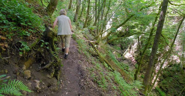 Der Weg von der Gauchachschlucht durch... msste dringend ausgebessert werden.   | Foto: Thomas Winckelmann