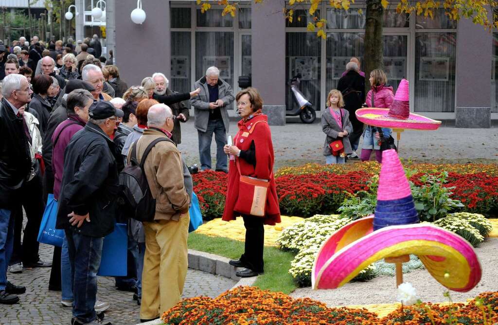 Von der Sonne verwhnt: Impressionen von der Chrysanthema