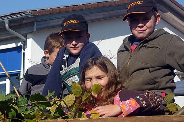 Schule Gresgen putzt sich zum Herbst raus