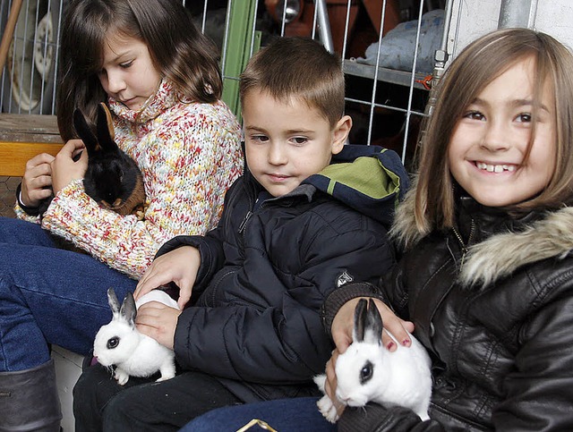 Wohldosiertes Kuscheln: Der Streichelzoo ist sehr beliebt.   | Foto: h. fssel