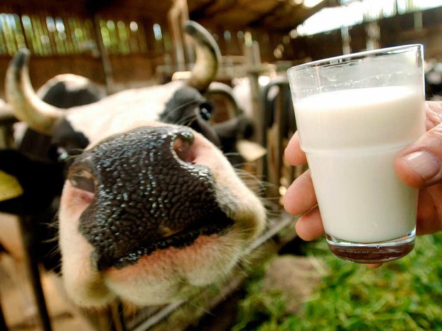 Milch direkt von der Kuh &#8211; davon...urg-Rotzel ist sie leicht zu bekommen.  | Foto: dpa