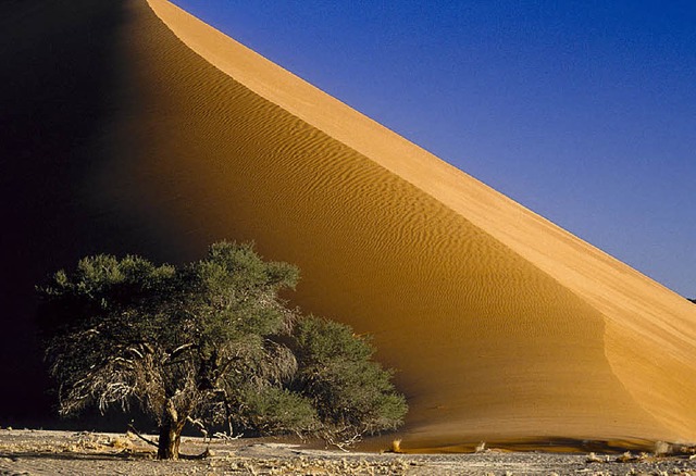 Unendliche Naturschnheiten im Sden Afrikas: eine Dne in Namibia   | Foto: Kchler