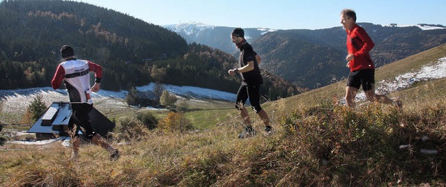 Traumkulisse: 42,5 Kilometer ber Berg...d Hollunder auf dem Weg zum Feldberg.   | Foto: Privat