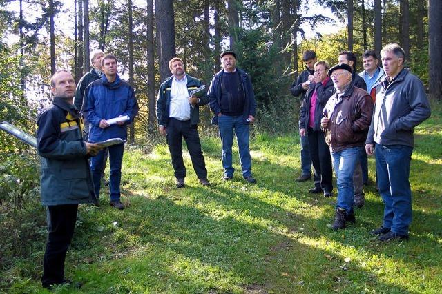 Laubbaumanteil im Gemeindewald soll steigen