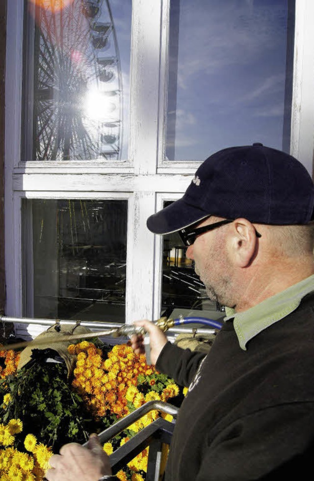 Albert Knle giet Chrysanthemen  am R...tergrund spiegelt sich das Riesenrad.   | Foto: Andreas Frey