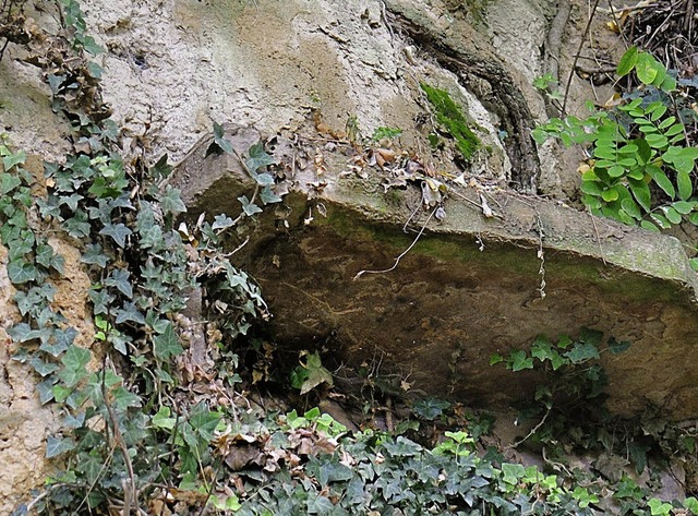 Das Steinplattengrab in der Lsswand am Landecker Weg in Teningen-Kndringen.  | Foto: Klaus Fehrenbach