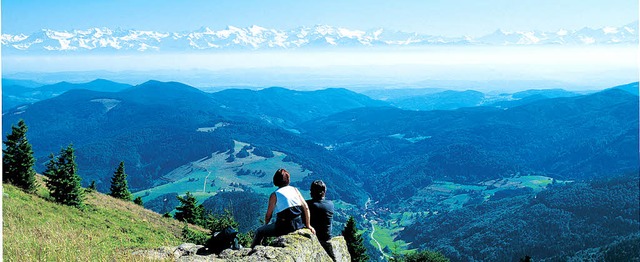 Bergwelt Sdschwarzwald: Nicht nur Alp...d fr  Gste &#8222;inklusive&#8220;.   | Foto: Privat