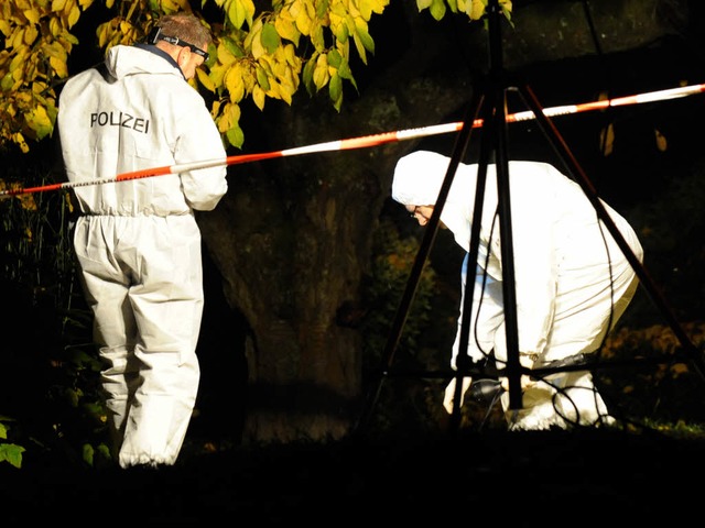 Polizeibeamte untersuchen die Fundstel...des in einem Weinberg bei Herbolzheim.  | Foto: dapd