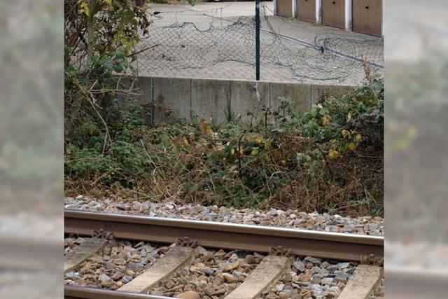 Zaun am Gleis zerstrt - lebensgefhrlicher Bahnbergang