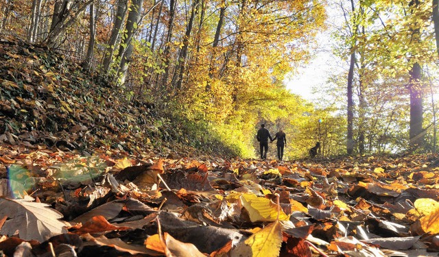 Herbst: Die milden Temperaturen, welch...&#8211; sorgen fr besondere Stimmung.  | Foto: Siegfried Gollrad