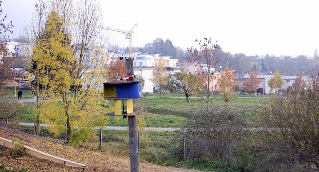 Direkt vor dem Zaun des Gelndes der K...r schon im Bebauungsplan ausgewiesen.   | Foto: Nikolaus Trenz