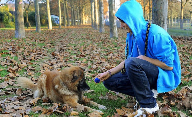 Auf der Hundewiese am Technischen Rath...s ganz offiziell frei laufen lassen.    | Foto: Thomas Kunz