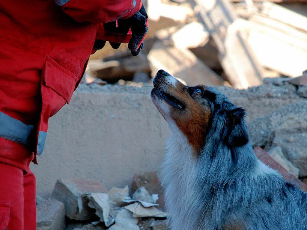 Hunde können Leben retten Schülertexte Badische Zeitung