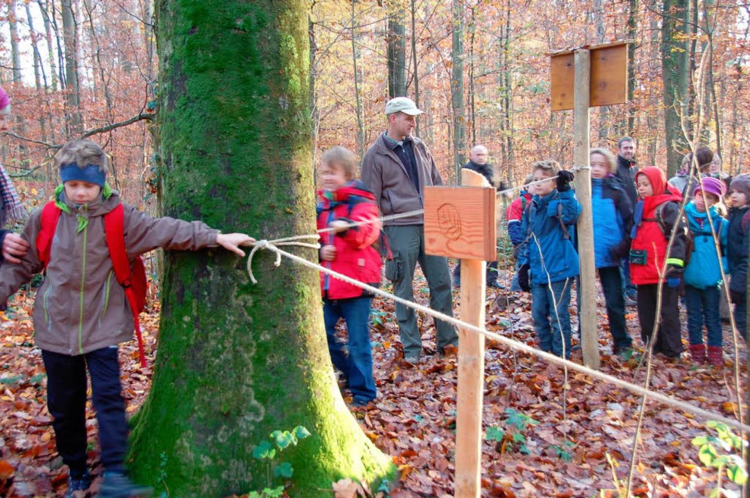 Der Blindpfad: Am Seil entlang kann man Baumrinden ertasten.  | Foto: Gerhard Walser
