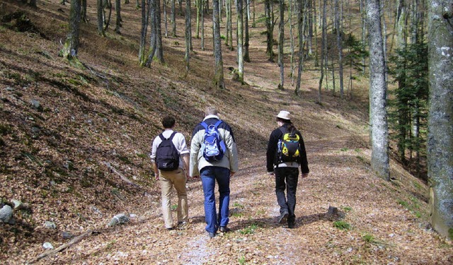 Als eine von sechs Regionen in Deutsch... Wanderberes Deutschland teilzunehmen.  | Foto: Thomas Steimer