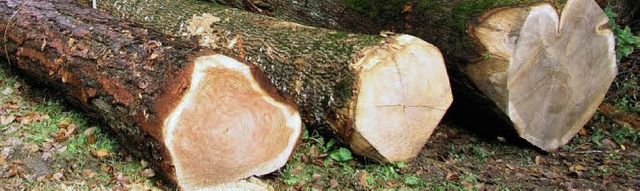 Gutes Holz bringt gutes Geld: ber 310...dem Wald freut sich Malsburg-Marzell.   | Foto: Kanmacher