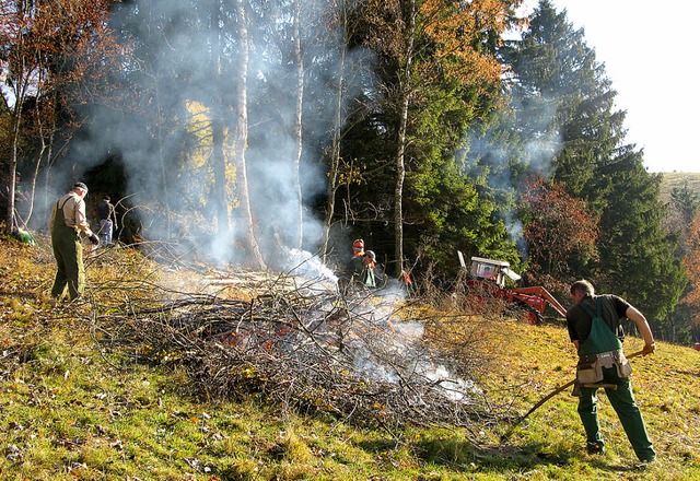 Die holz- und walderfahrenen Dorfer in Aktion.   | Foto: Ulrike Spiegelhalter