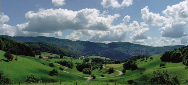 Der leise Film &quot;Der Sommer im Winter&quot;  Hoch Schwarzwald  | Foto: KArl Heinz Heilig