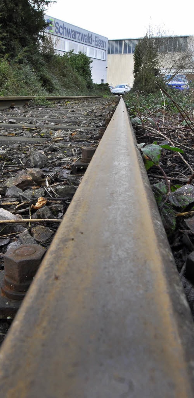 Die Zeit des Gleises ins Industriegebi...rat wird die Stilllegung beschlieen.   | Foto: michael bamberger