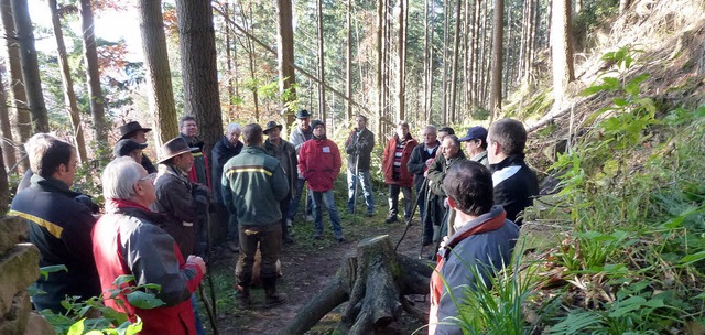 Waldbegehung des Herbolzheimer Gemeinderats  | Foto: Stadt Herbolzheim