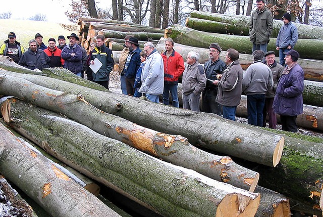 Fr 2012 rechnet der Forst wieder mit ...Einschlag kommen rund 10000 Festmeter.  | Foto: Winter