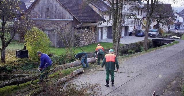 Die Altersmannschaft der Feuerwehr in ...sorgte fr Sicherheit auf der Strae.   | Foto: privat