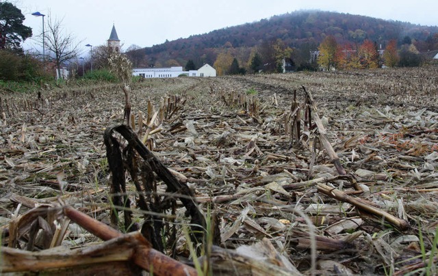 An drei Tagen im Sommer wurde von dies...die Erosionsgefahr erheblich mindert.   | Foto: Silvia Faller