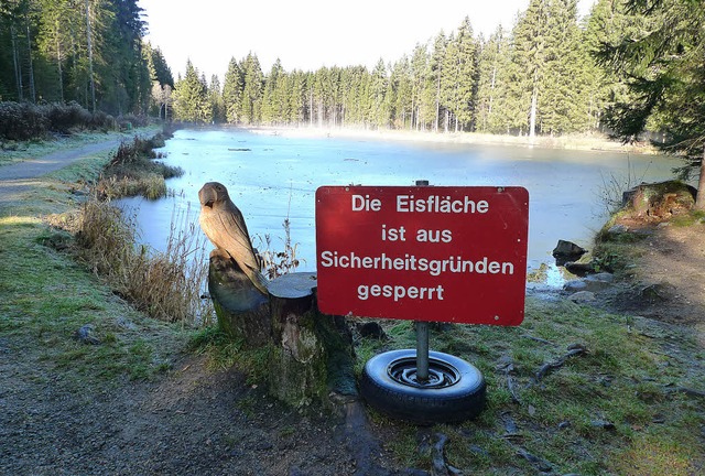 Gegenstze: Zwlf Grad in der Sonne un...ld spart zurzeit nicht mit Kontrasten.  | Foto: Thomas Winckelmann