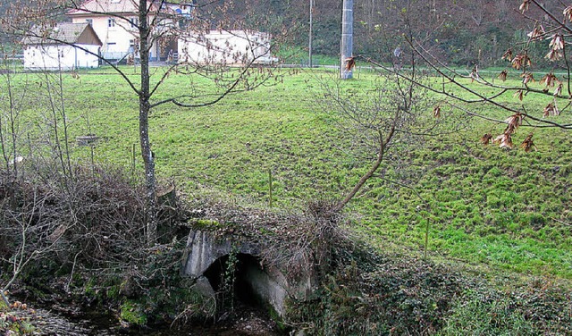 Wenige Meter unterhalb der von  1921 b...ch auf Gemarkung Staufen fhren soll.   | Foto: M. Lange