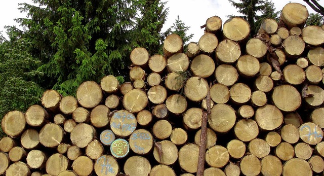 Aus der Holzwirtschaft erlst die Geme...rrischried traditionell gute Gewinne.   | Foto: DPA
