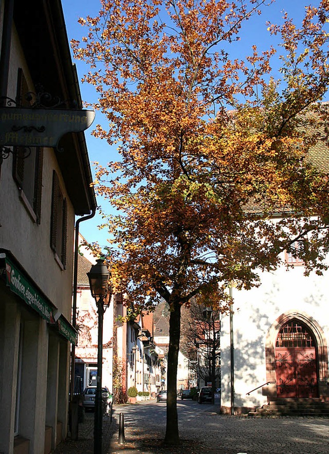 Auch wenn dieser Baum in der Wallstra... im Bestand gefhrdet (rechtes Bild).   | Foto: Marlies Jung-Knoblich