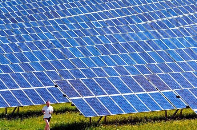 Entsteht bei Hofweier die grte Solaranlage in Sdbaden? (Symbolbild)  | Foto: dpa