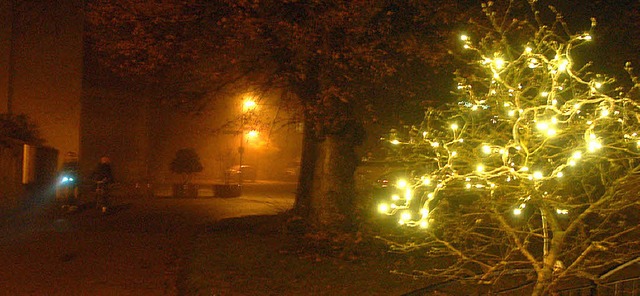 Beleuchtete Gewchse gibt es bei der M...e hngen aber mit dem Advent zusammen.  | Foto: Hans-Jrgen Trul