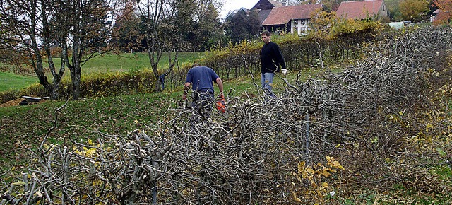 Krftig in die Hnde gespuckt haben di...nsatz fr das Schwimmbad Schweigmatt.   | Foto: Privat