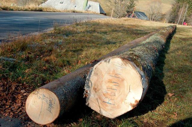 Brand Bhlhof: Waldbesitzer spenden 160 Festmeter Holz