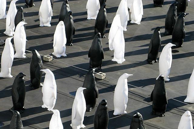 Eine Pinguin-Kolonie mitten in Bernau
