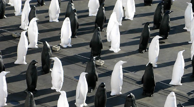 Bild einer Ausstellung: Die Pinguin-Kolonie in Bernau.   | Foto: Spiegelhalter
