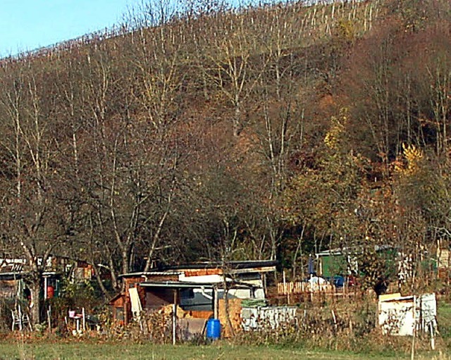 Um die wilden Htten am Tllinger ging...stern Vormittag bei einem Ortstermin.   | Foto: Senf