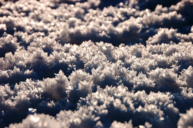 Wenn der erste Schnee fllt, dann kommen auch wieder die Snowscoots zum Einsatz.  | Foto: Kathrin Blum